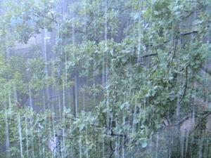 Почему  идет дождь . Почему .